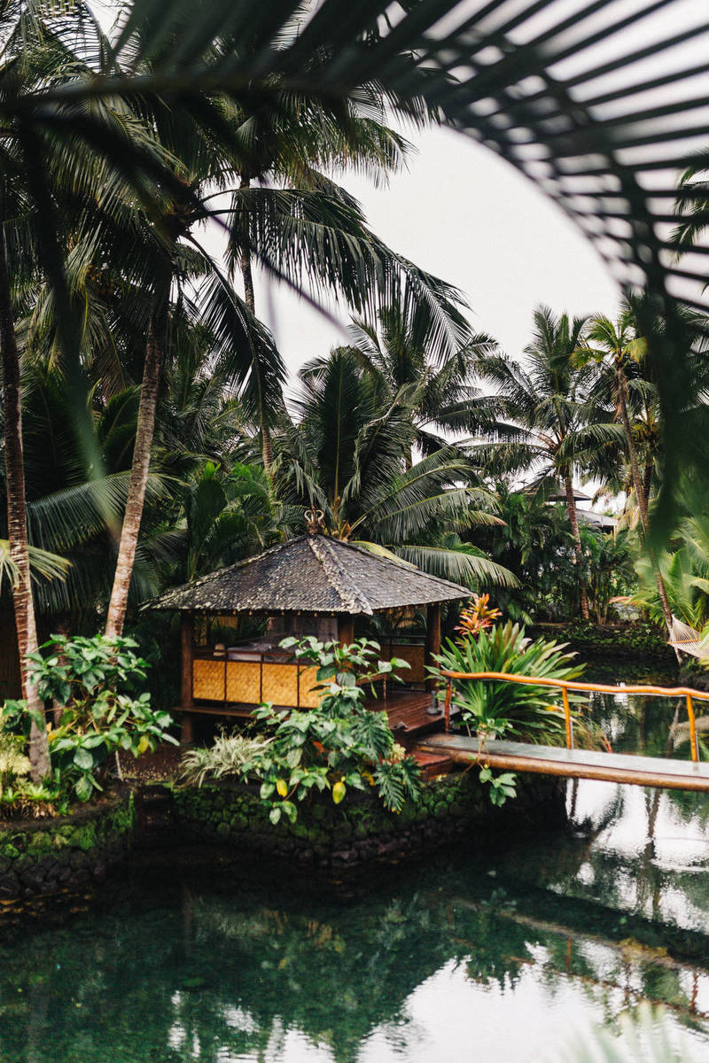 PC Controllers 2024: DigitalHub Buyer’s Guide to Gamepads